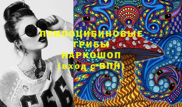 ешки Верхний Тагил
