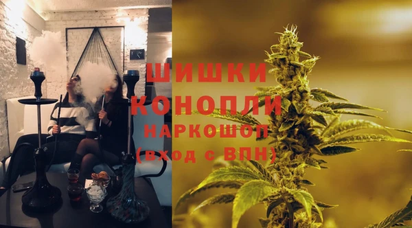 тгк Володарск