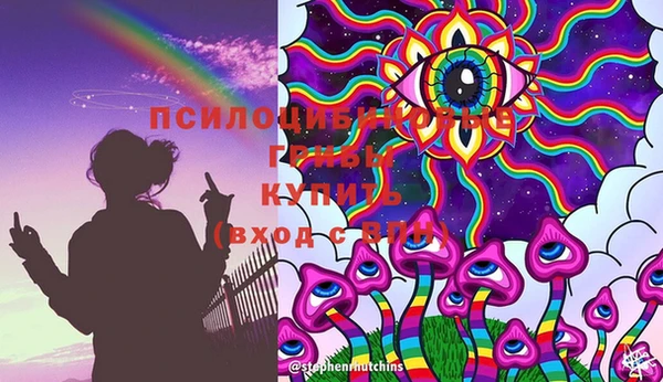 ECSTASY Сосновый Бор