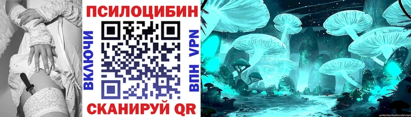 Псилоцибиновые грибы Magic Shrooms  блэк спрут как зайти  Дно 